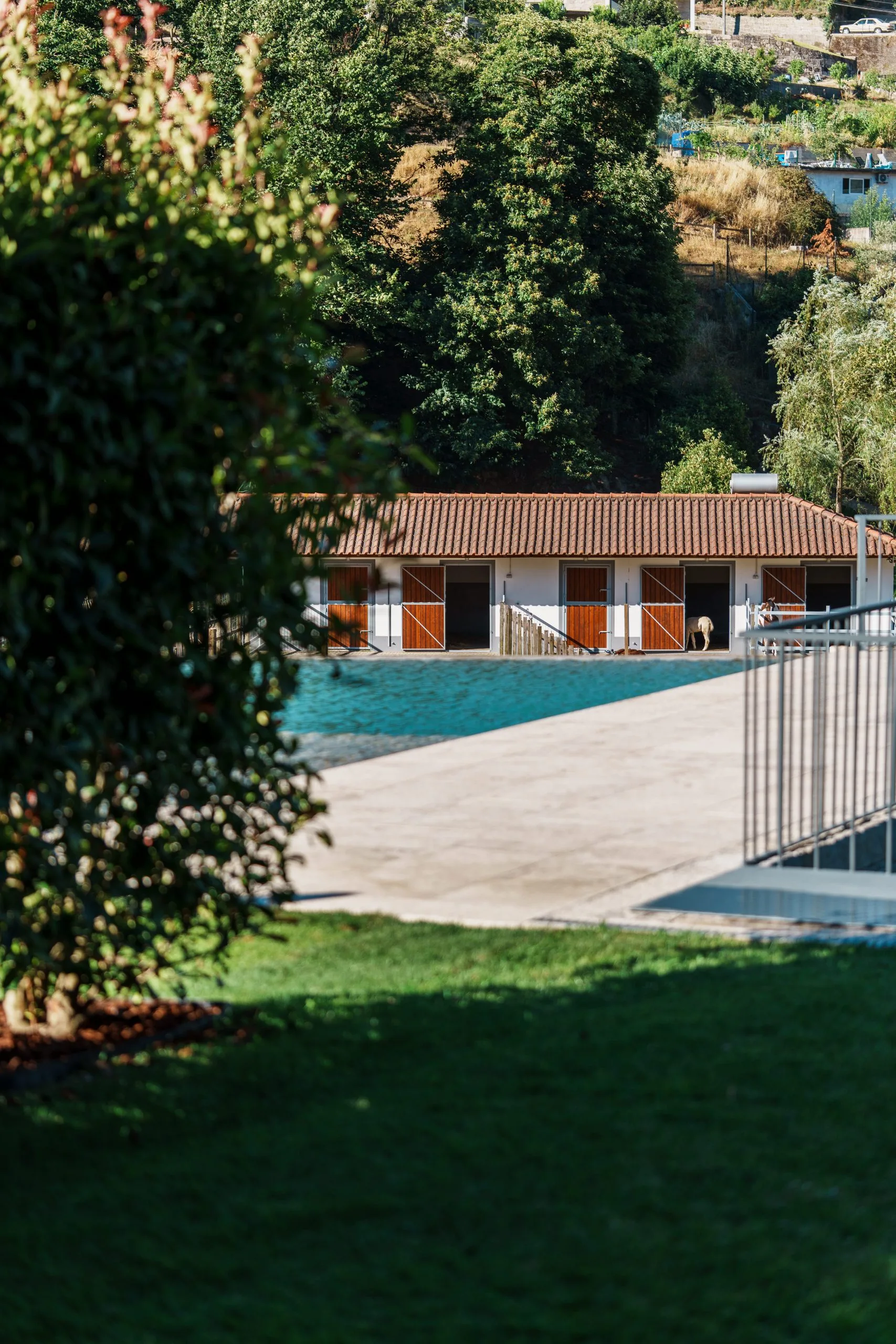 Quintãs Farmhouses Pool