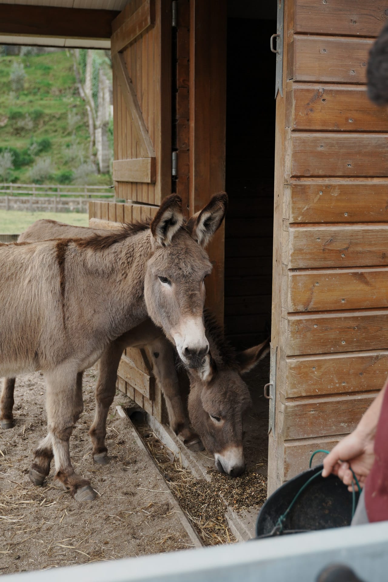 Alimentação Quintãs Farm Houses