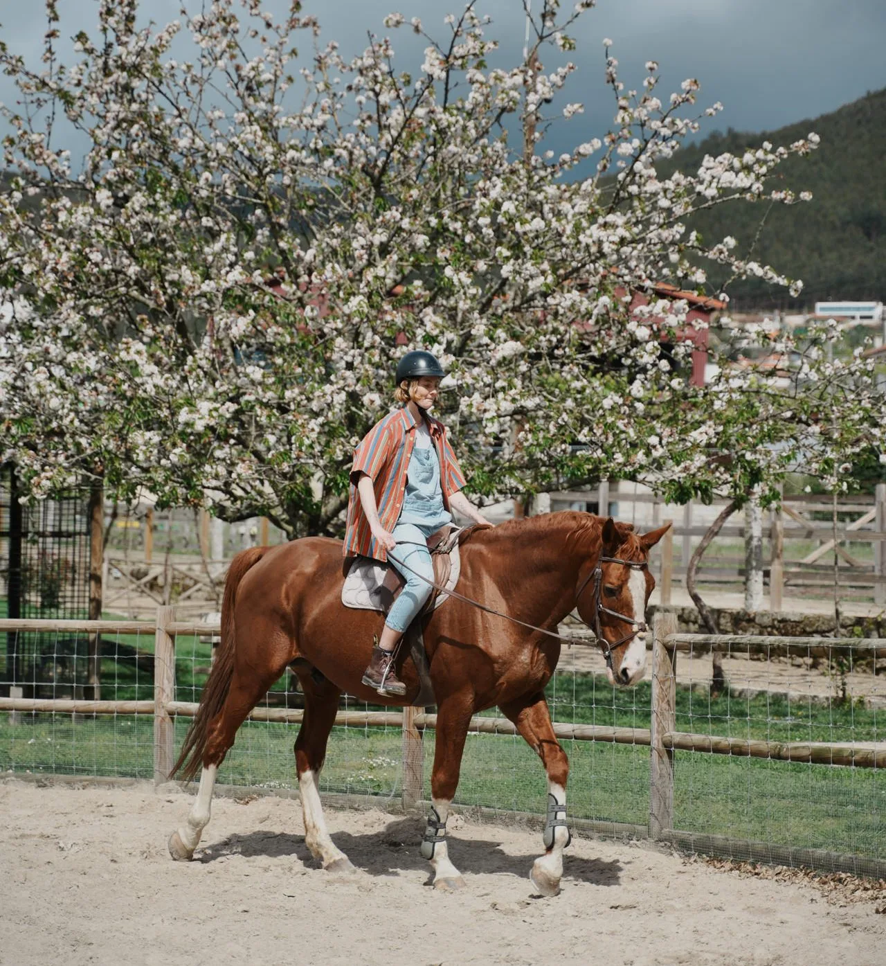 Horseride Quintãs Farmhouses